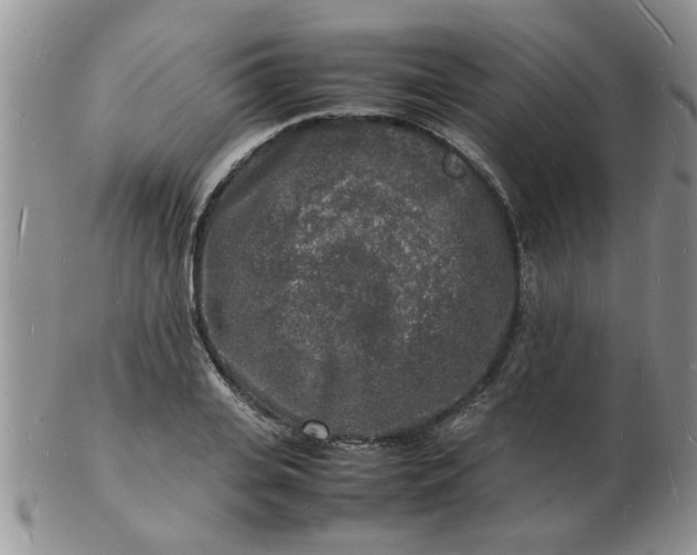 X0000103290935200809122004