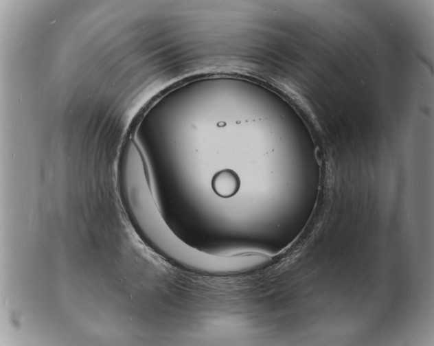 X0000103290936200809122004