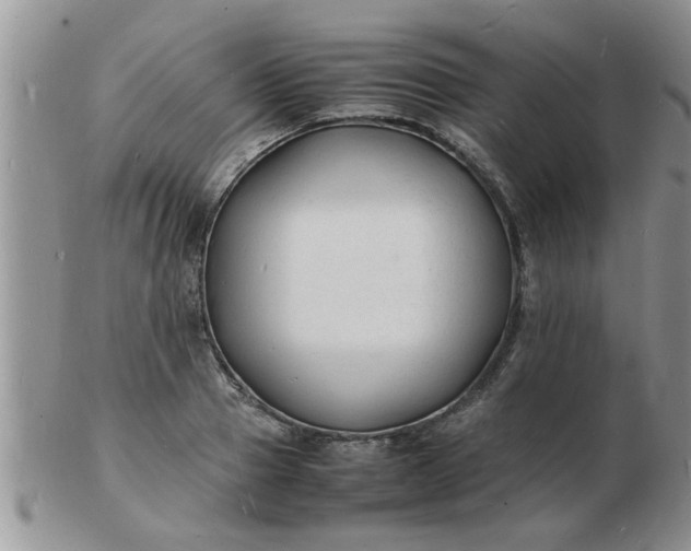 X0000103290937200809122004