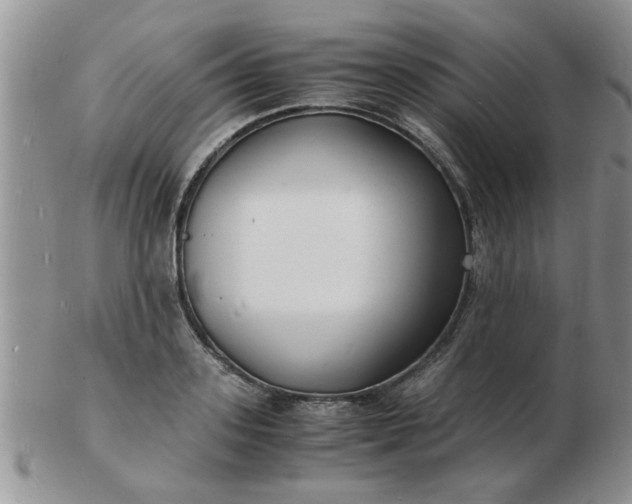 X0000103290939200809122004