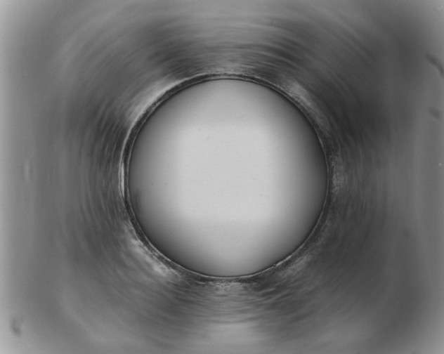 X0000103290940200809122004