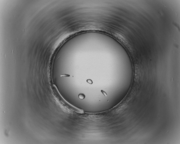 X0000103290942200809122004