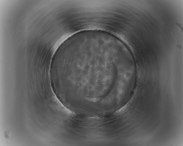 X0000103290943200809122004