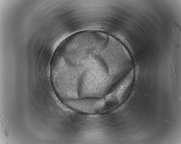 X0000103290944200809122004