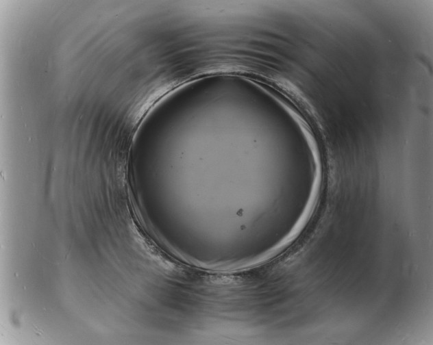 X0000103290945200809122004