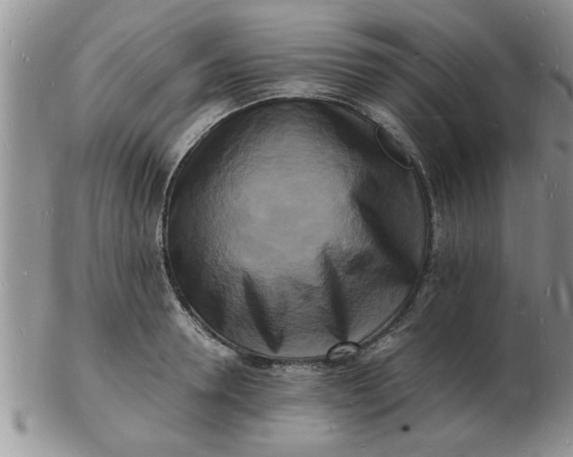 X0000103290946200809122004