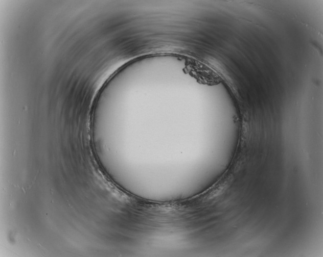 X0000103290948200809122004