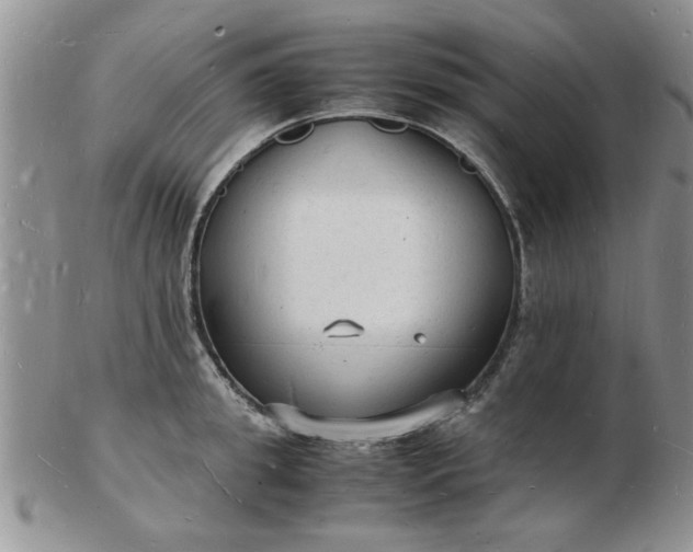 X0000103290949200809122004