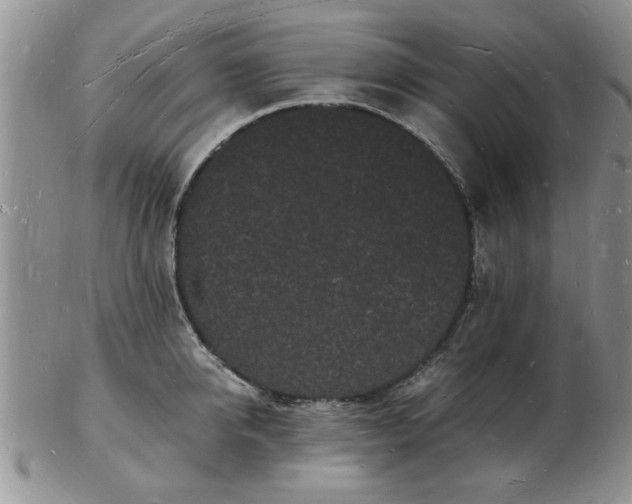 X0000103290950200809122004