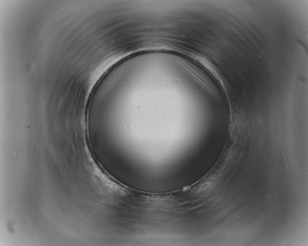 X0000103290951200809122004