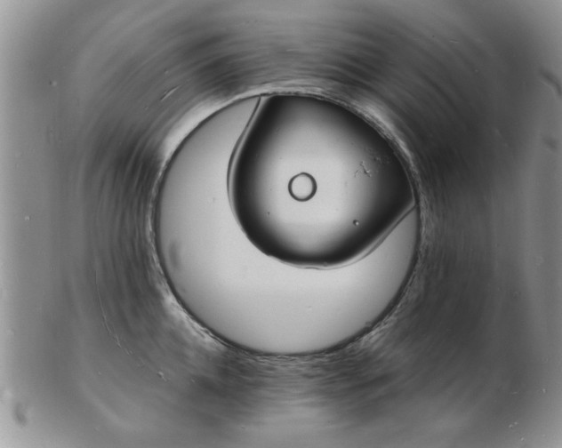 X0000103290952200809122004