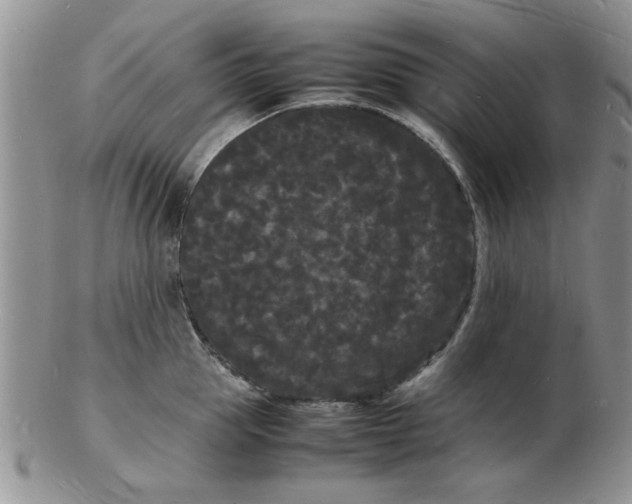 X0000103290953200809122004