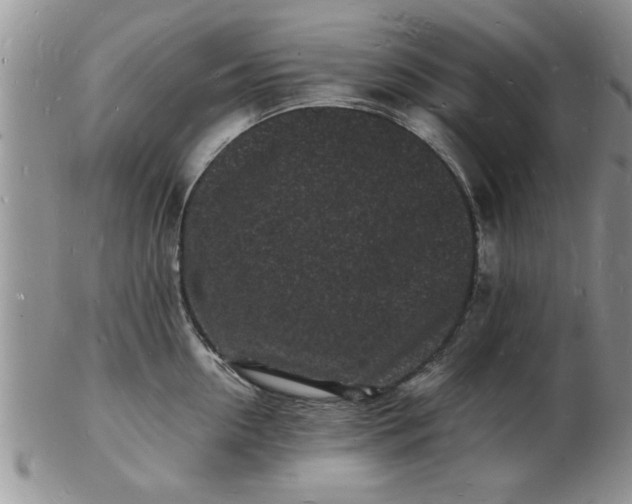 X0000103290954200809122004