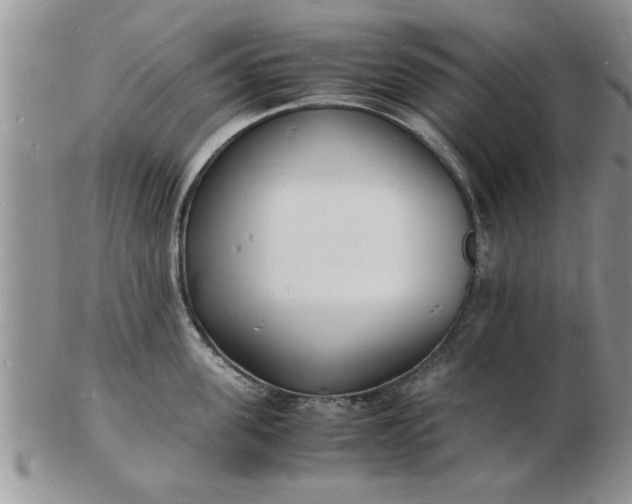 X0000103290955200809122004