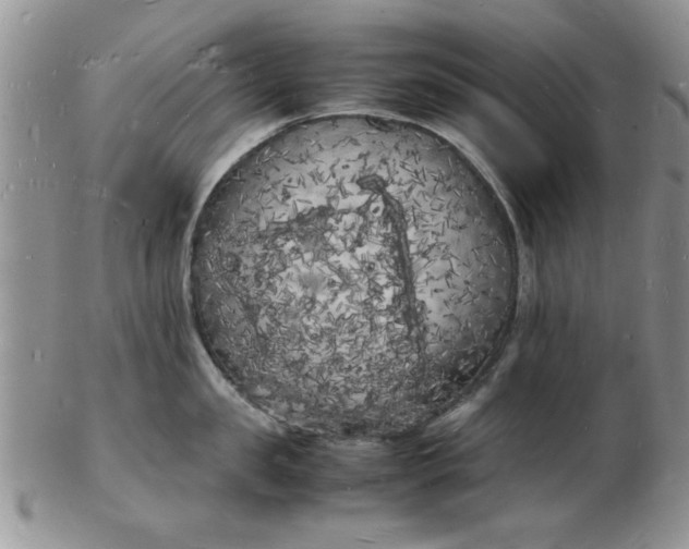 X0000103290957200809122004