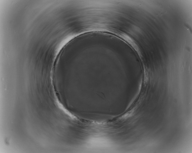 X0000103290958200809122004