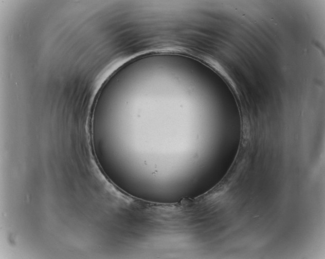 X0000103290959200809122004