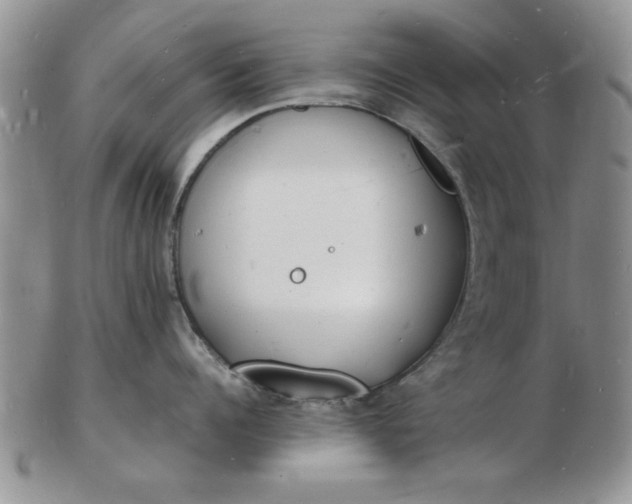 X0000103290960200809122004