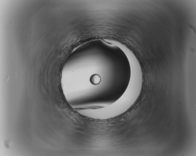 X0000103290961200809122004