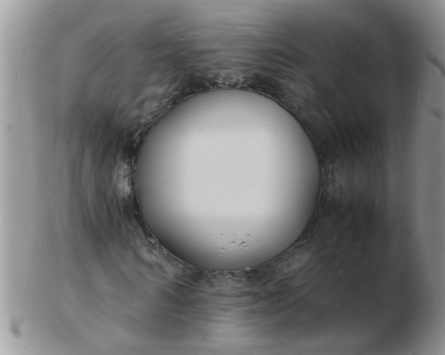 X0000103290962200809122004