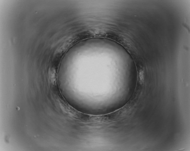 X0000103290963200809122004