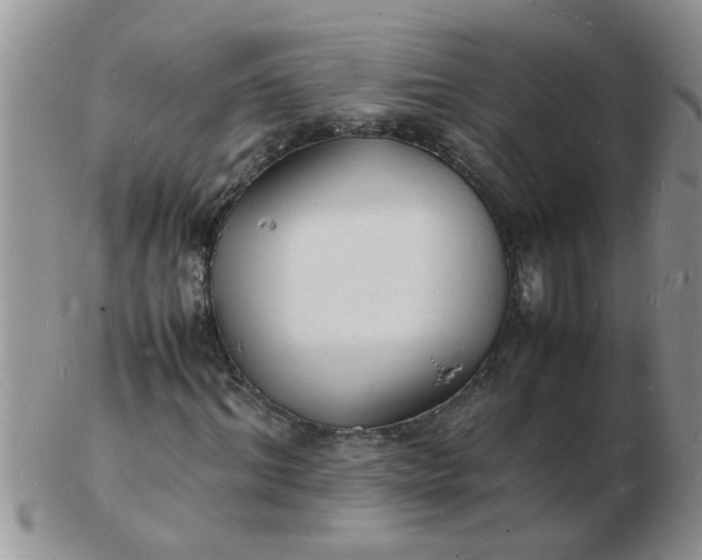 X0000103290964200809122004