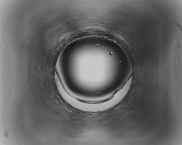 X0000103290965200809122004