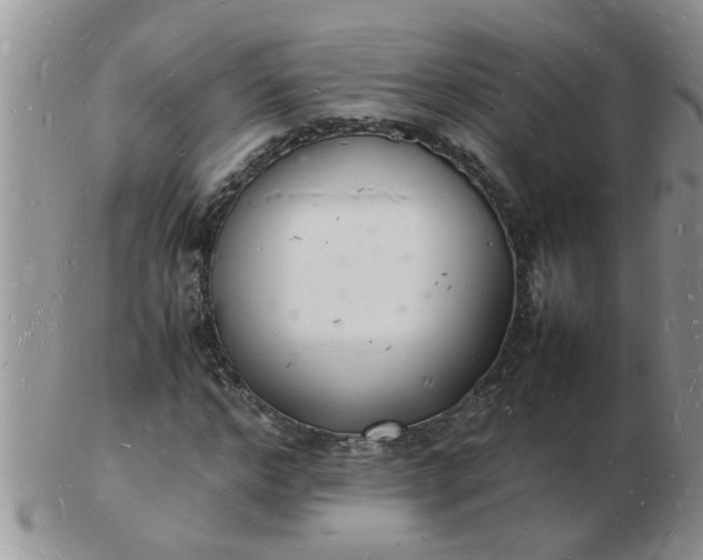 X0000103290968200809122004