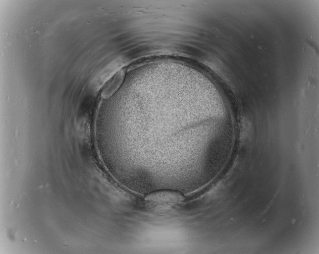 X0000103290969200809122004