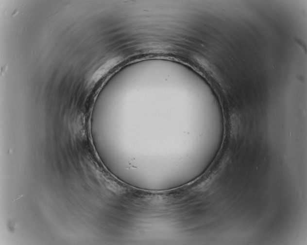 X0000103290970200809122004