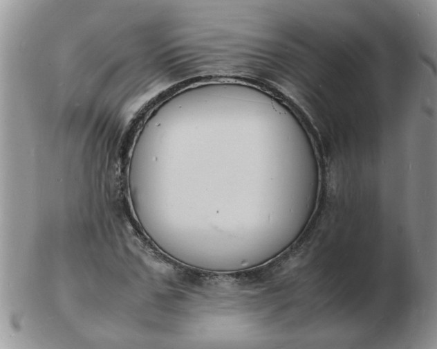 X0000103290971200809122004