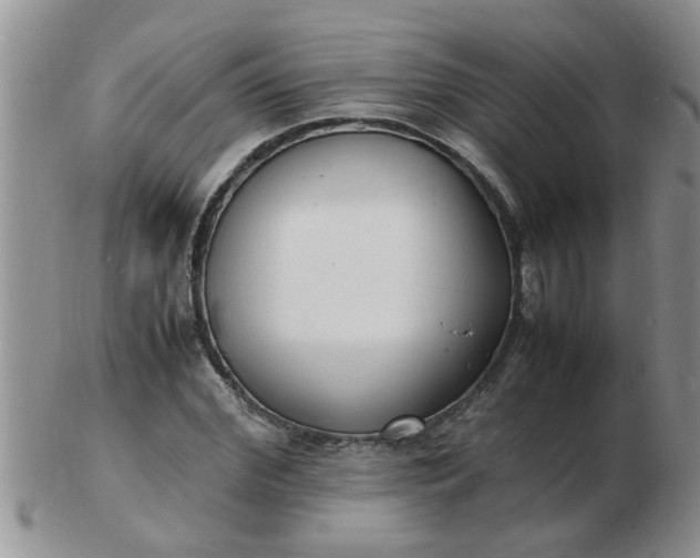 X0000103290972200809122004