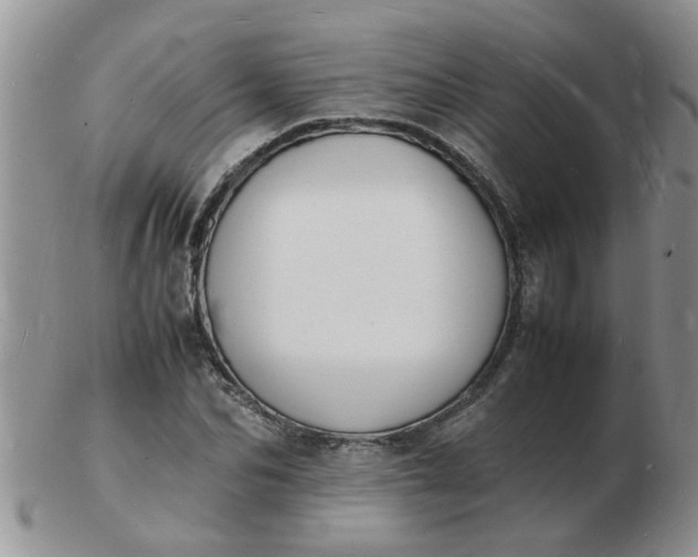 X0000103290974200809122004