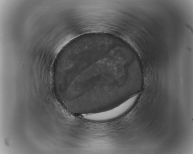 X0000103290975200809122004