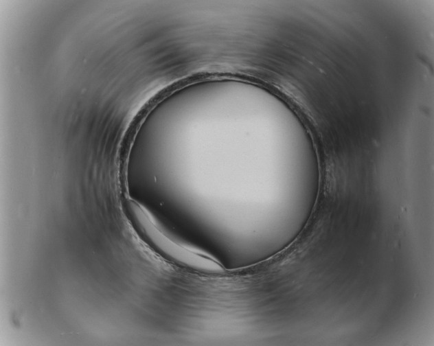 X0000103290976200809122004