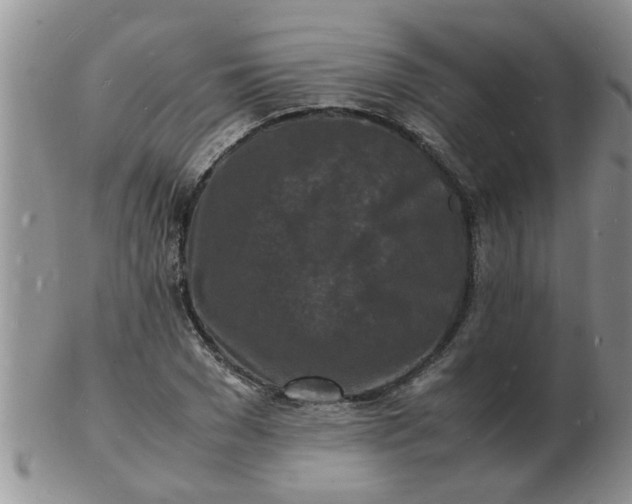 X0000103290977200809122004