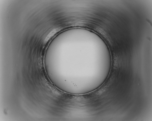 X0000103290978200809122004