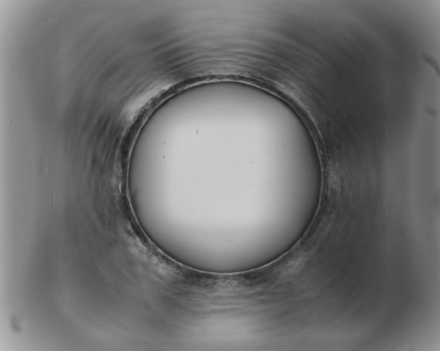 X0000103290979200809122004