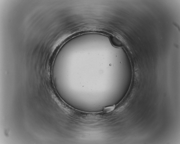 X0000103290981200809122004