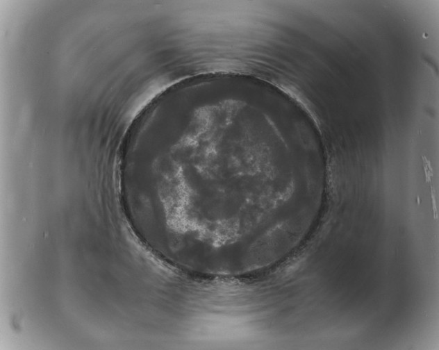 X0000103290983200809122003