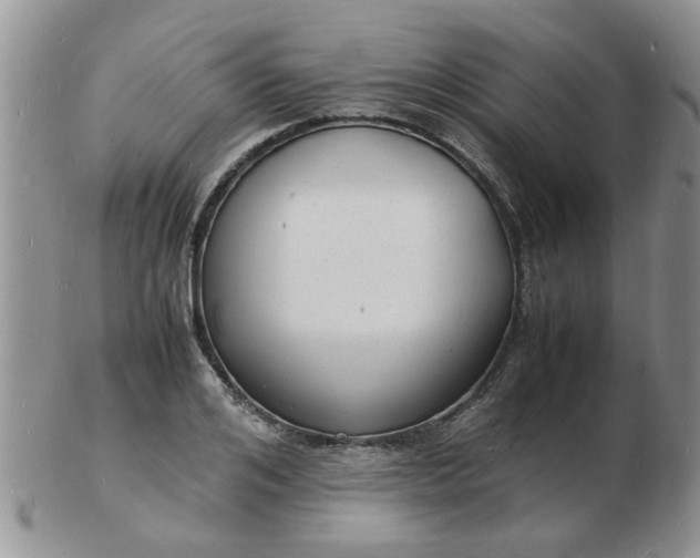 X0000103290984200809122003