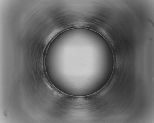 X0000103290986200809122003