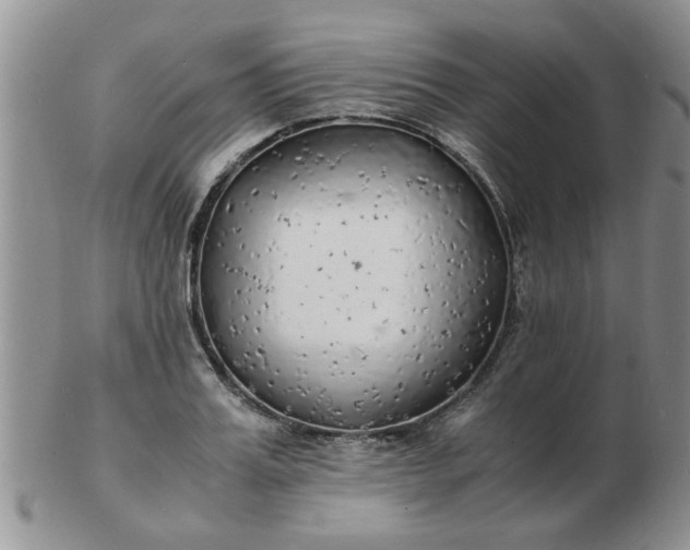 X0000103290987200809122003