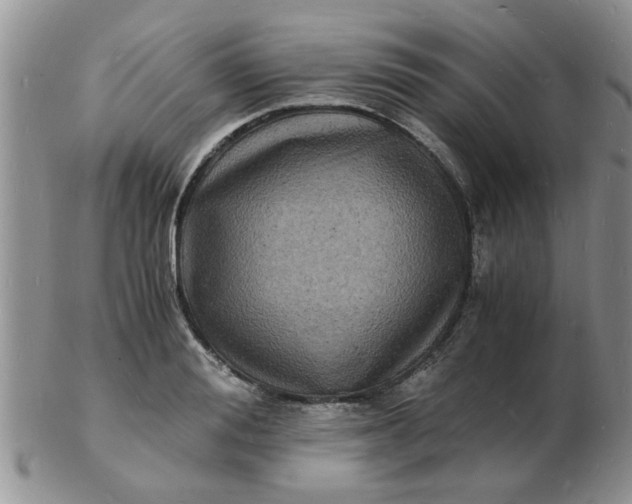 X0000103290988200809122003