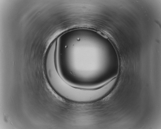 X0000103290989200809122003