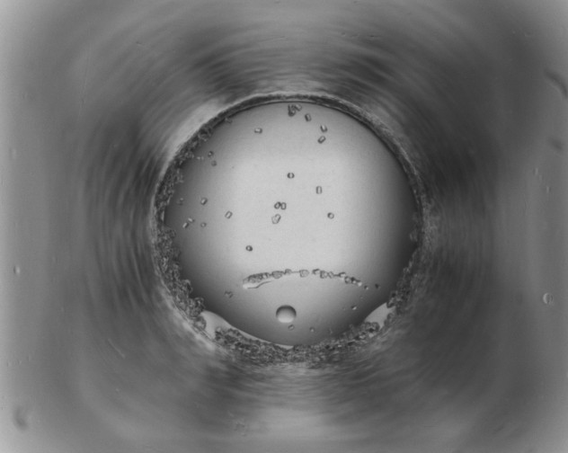 X0000103290990200809122003