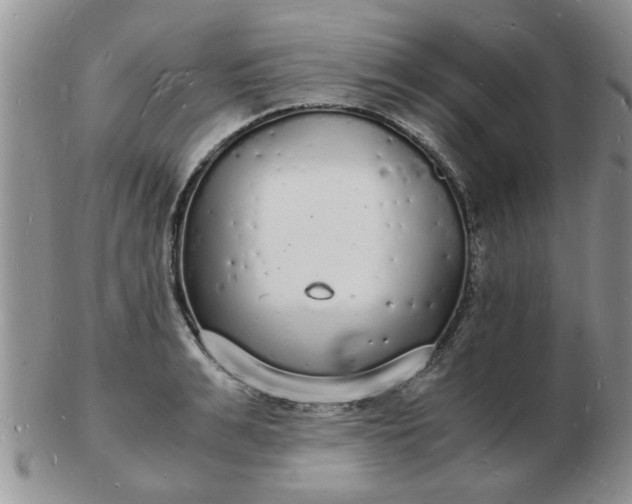 X0000103290991200809122003