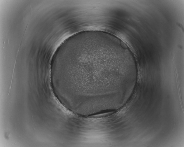 X0000103290992200809122003