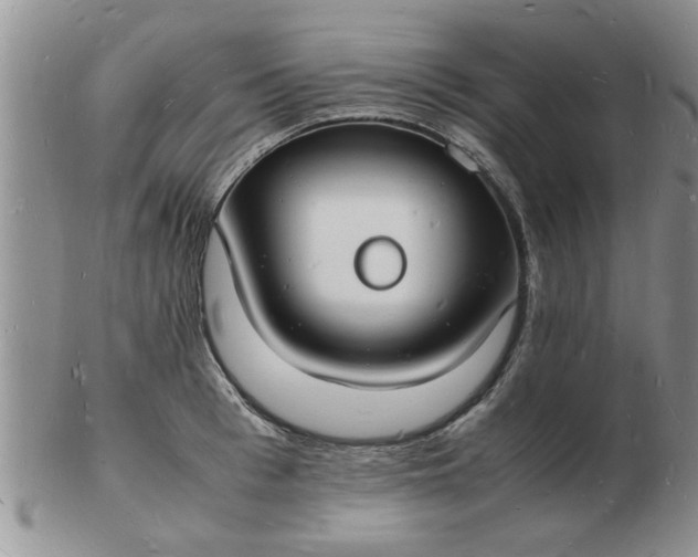 X0000103290993200809122003