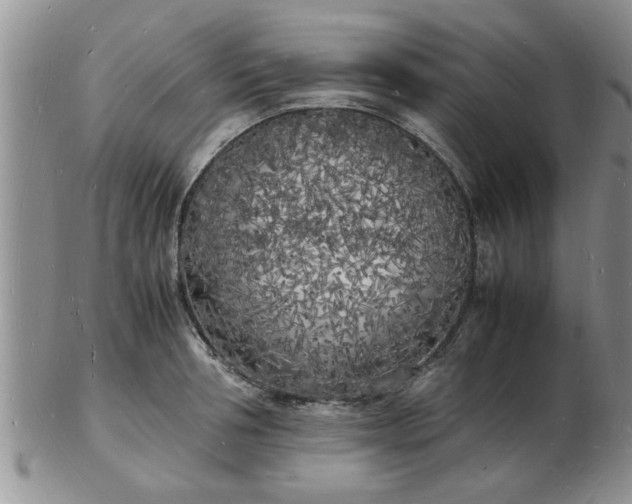 X0000103290994200809122003